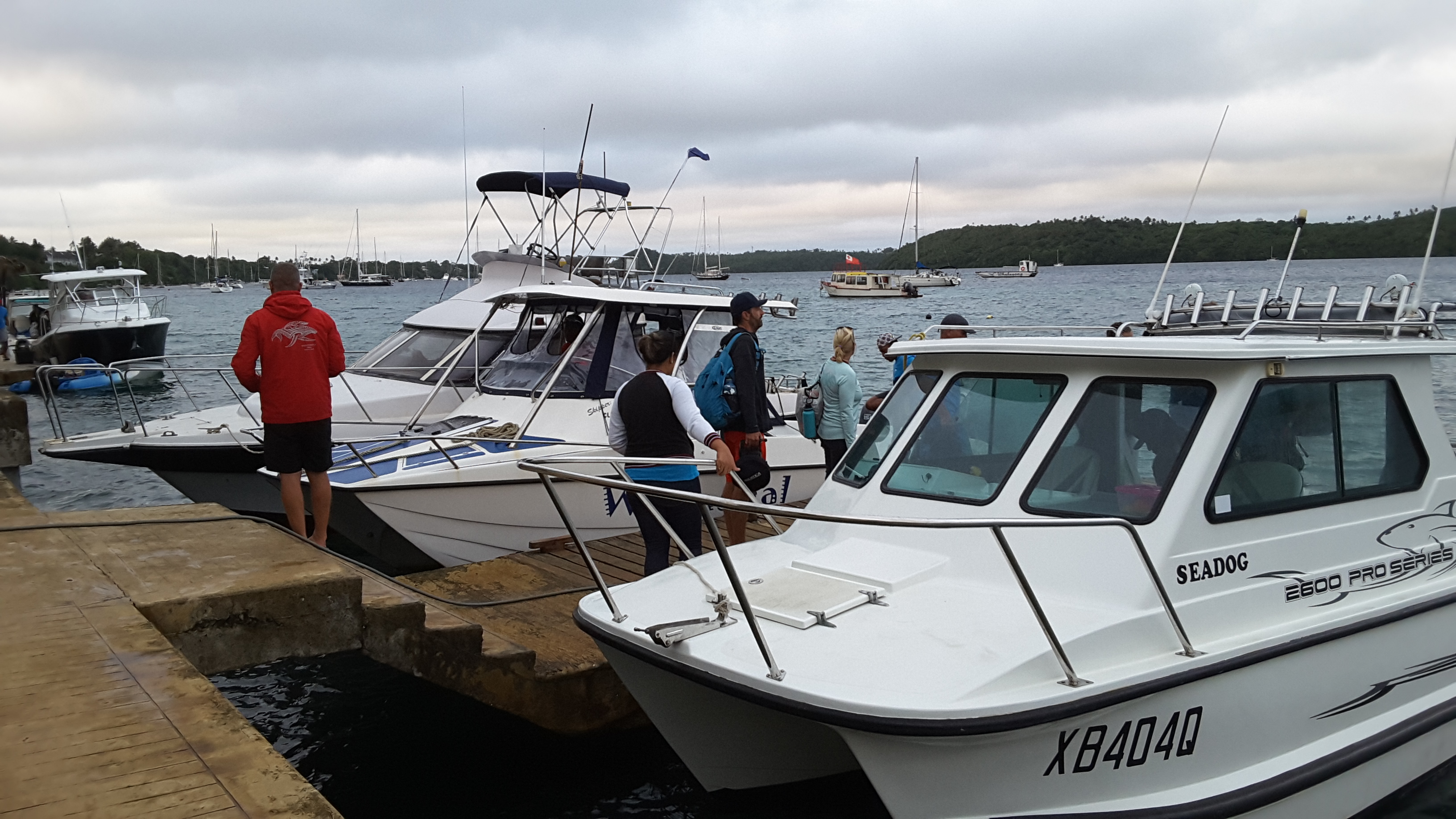 동트는 새벽부터 고래 탐사선을 타기 위해 선착장에 모인 관광객들