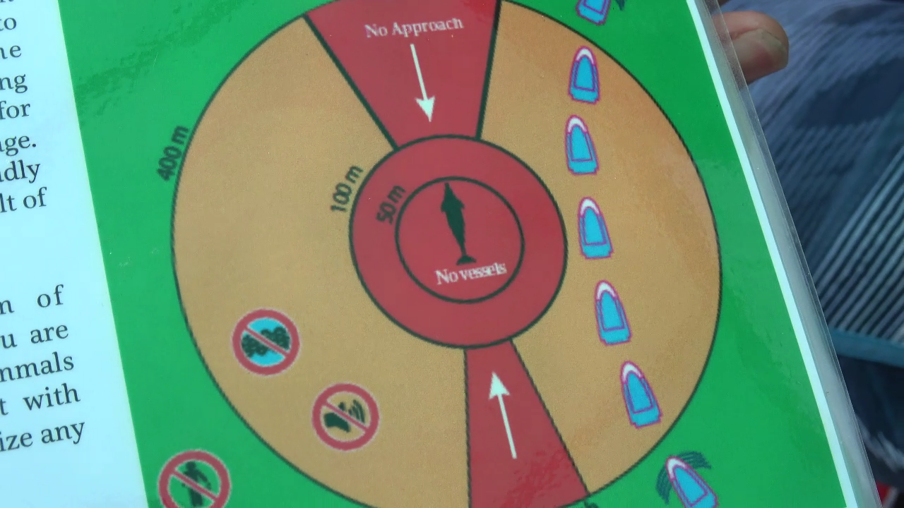 고래 탐사선 운영 규칙을 담은 그림