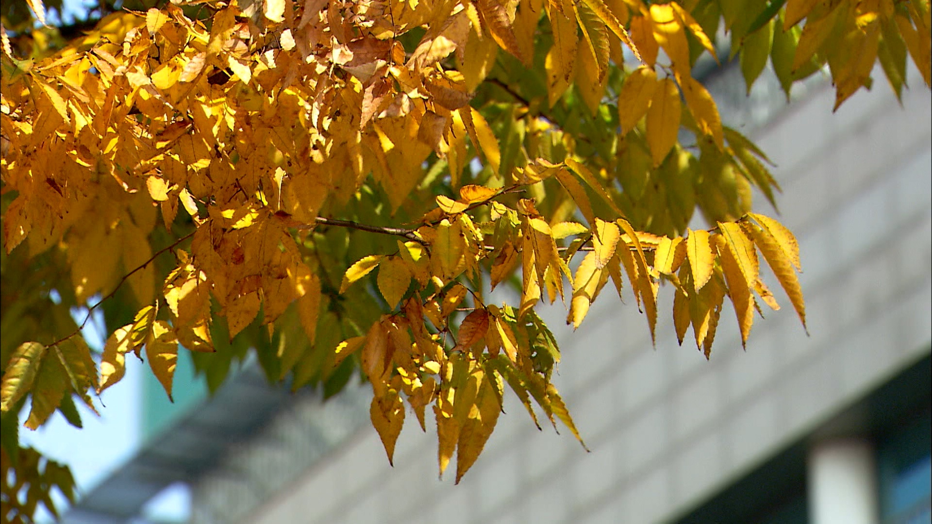 맑고 한낮 15.1도‥ 내일 가끔 비
