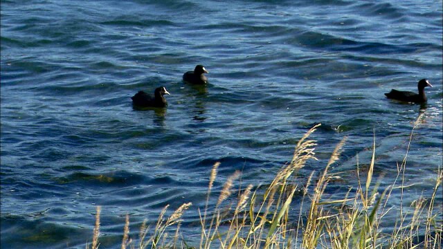 내일 아침기온 1도‥ 낮부터 점차 풀려
