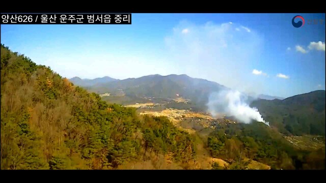 "낙엽 태우려다" 산불‥ 60대 남성 입건