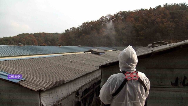 "고병원성 AI 유입 방지" 울산도 전방위 방역
