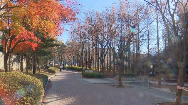 오늘 낮 최고 9.5도‥ '건조주의보' 화재 유의