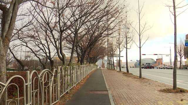 낮 최고 7.4도‥ 내일 오후부터 다시 비