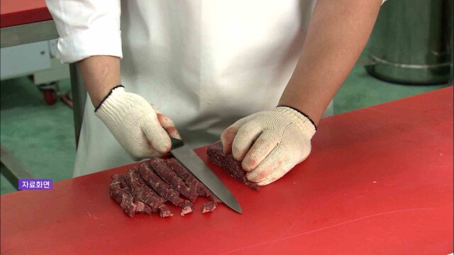 지역 유통 한우 DNA 검사‥ "진짜 한우"