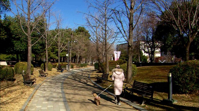 일교차 큰 날씨‥ 내일 밤부터 가끔 비