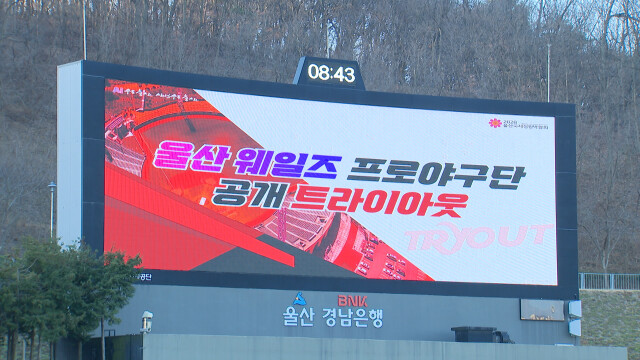 울산웨일즈 '창단 멤버' 26명 합격자 발표