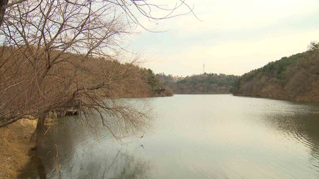 낮 기온 평년 수준‥ 밤부터 강풍 주의