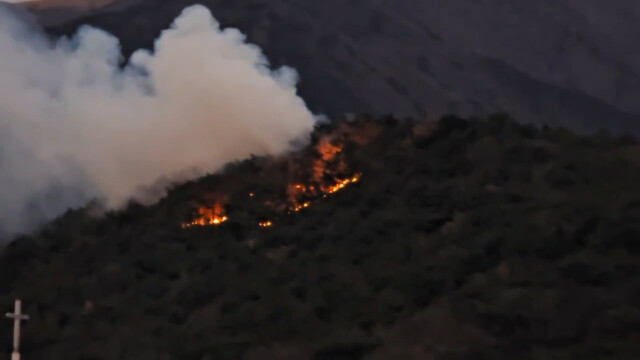 울주군 작천정 봉화산에서 산불‥ 인명피해 없어