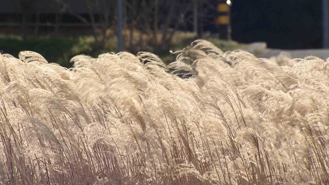 내일 아침 최저 영하 6도‥ 산불 '경계' 단계