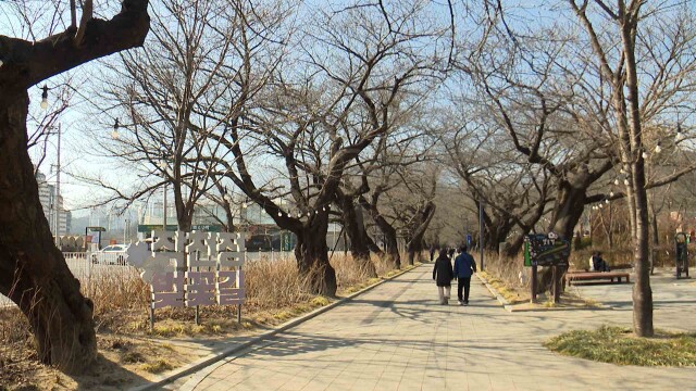 '입춘' 영상권 기온 회복‥ 내일 낮 최고 15도