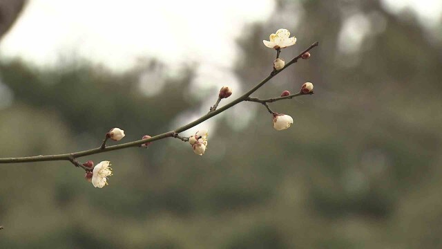 곳에 따라 눈 또는 비‥ 내일 낮 최고 13도