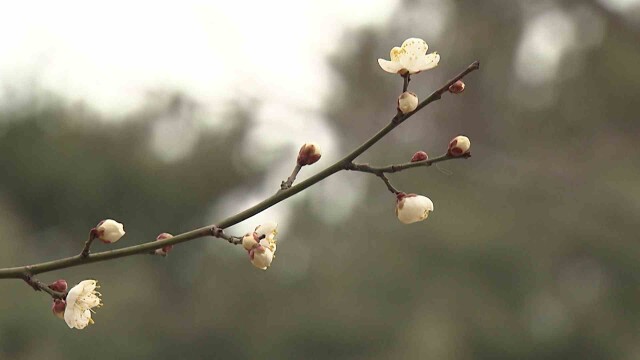 내일 낮 최고 13도 '포근'‥ 건조특보 이어져
