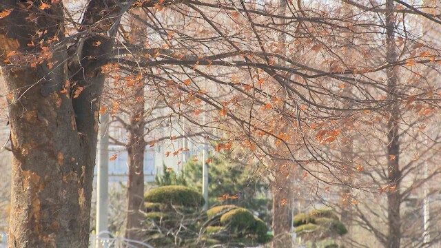 울산 49일째 건조특보‥ 역대 최장 기록