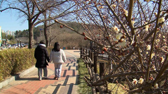 오늘 낮 최고 11.3도‥ 주말까지 한낮 '포근'