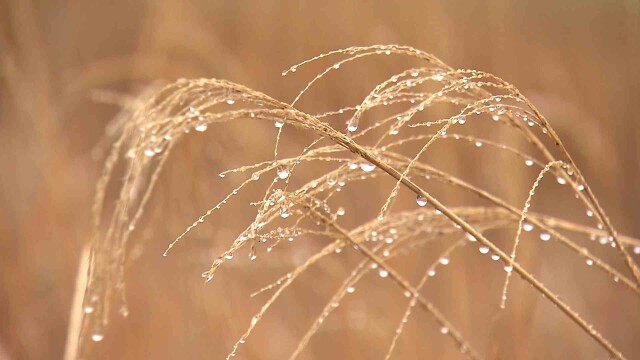 낮 최고 9도‥ 건조주의보 해제