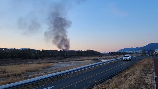북구 상안동 대나무밭 화재.. 인명피해 없어