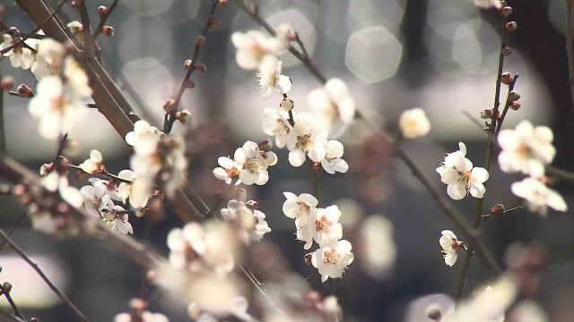 내일 오전부터 비‥ 모레까지 10~40mm