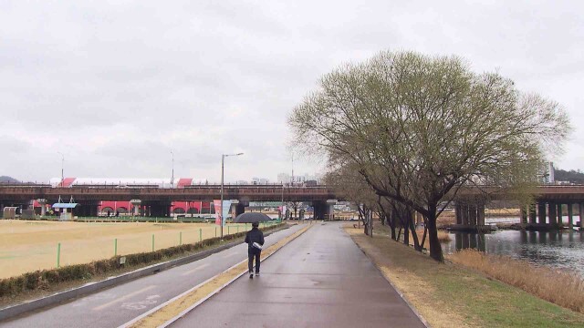 연휴 기간 흐린 날씨‥ 해안가 강풍 유의
