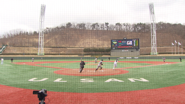 전지훈련 복귀 울산웨일즈‥ 첫 '실전' 나서