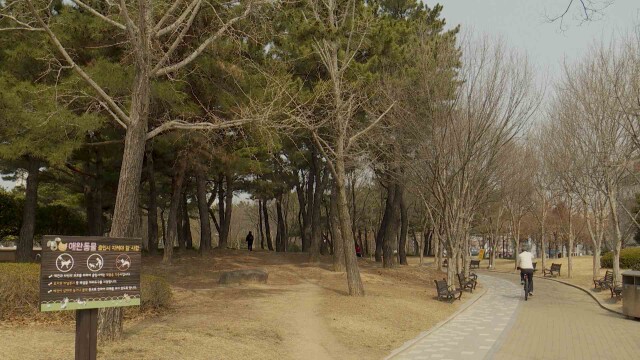 밤부터 5~10mm 비‥ 내일 강한 바람 주의