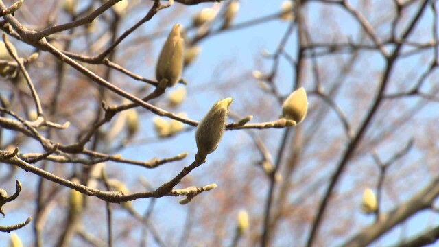 낮 최고 9.8도‥ 내일 새벽 약한 비