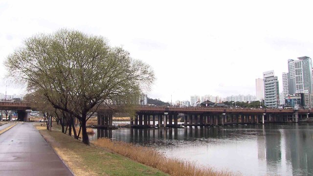 내일 오전까지 비‥ 해안가 안전사고 주의