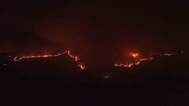 '봉대산 불다람쥐' 경남·전북에서도 산불 방화