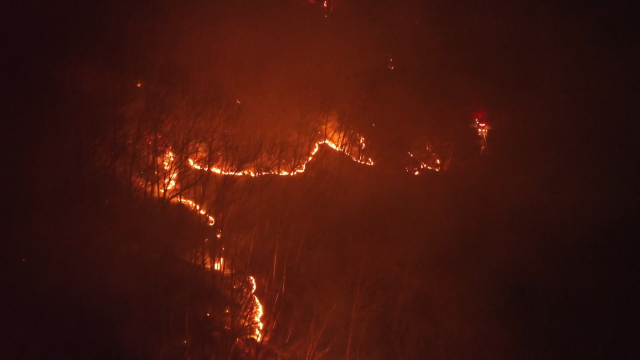 함양 산불 낸 '봉대산 불다람쥐'‥검찰 송치