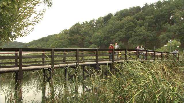 내일 아침까지 비‥ 해안가 안전사고 주의
