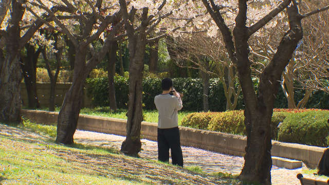내일 오전부터 비‥ 강한 바람 주의