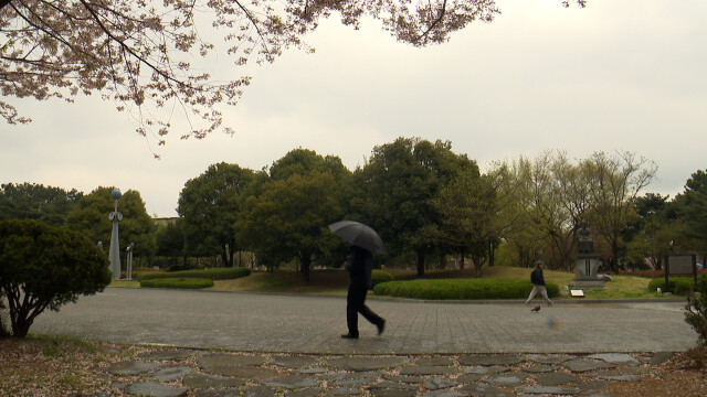 내일 오전까지 비‥ 곳에 따라 최대 80mm