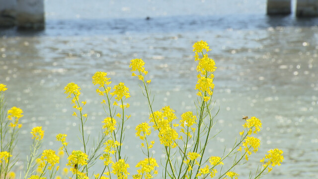 오늘 낮 최고 23.7도‥ 내일 구름 많은 날씨