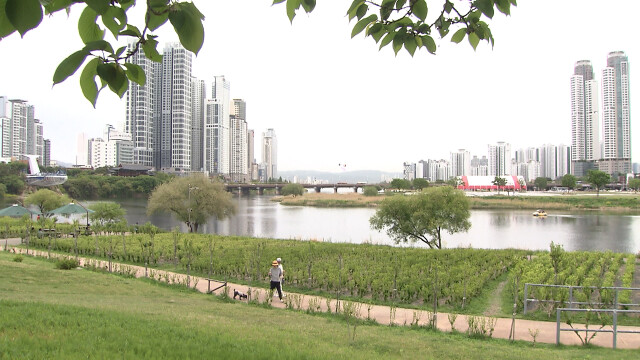 흐리고 밤까지 강풍 주의‥ 내일 일교차 커