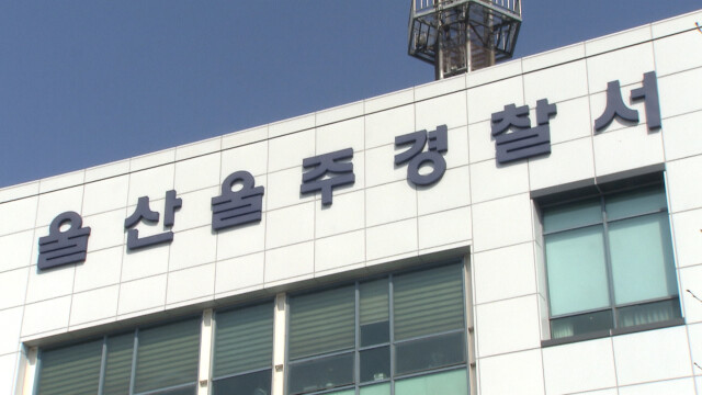 만취해 차량 몰다 경찰치고 달아난 20대 검거