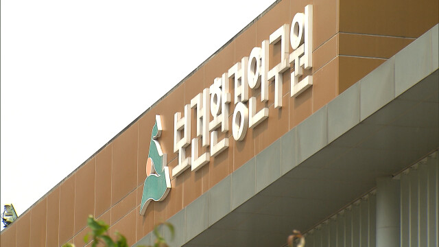 "해외직구 포장용 랩 사용 주의" 가소제 과량 검출