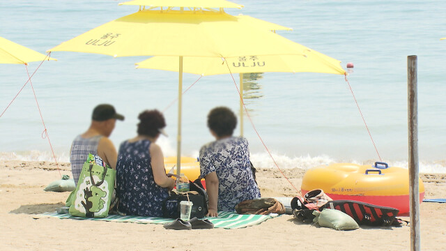 진하·일산해수욕장서 인권 모니터링 시행