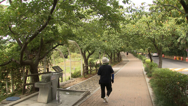 낮 최고 32.3도‥열대야·폭염 지속