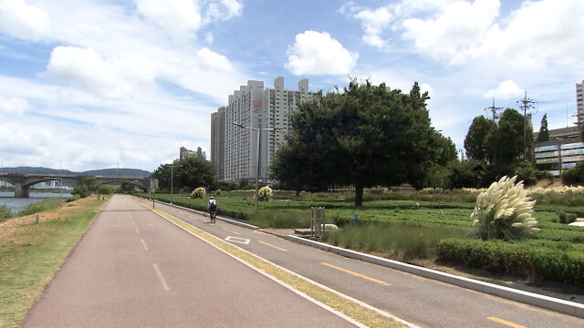내일 낮 최고 32도..소나기 예상