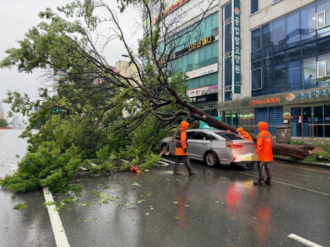 가로수 넘어지고 담벼락 무너져‥비 피해 잇따라