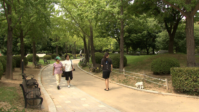 폭염특보 나흘째‥주말 24~33도
