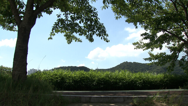 폭염경보·열대야주의보‥내일 25~34도