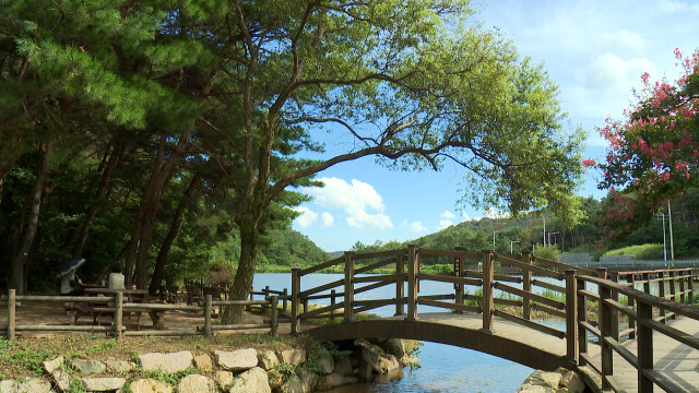 늦더위 기승‥내일·모레 5~40mm 소나기