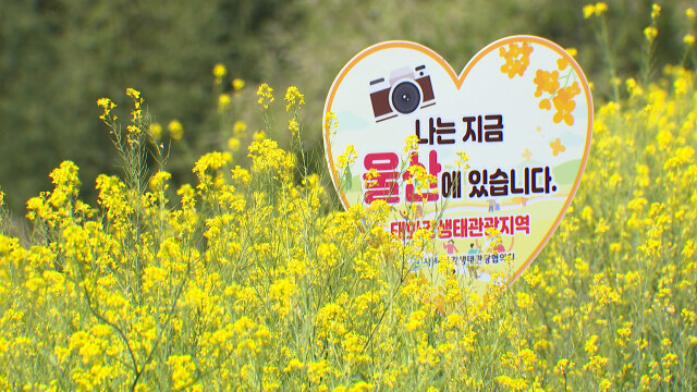 태화강 기후부 생태관광지역 5회 연속 재지정