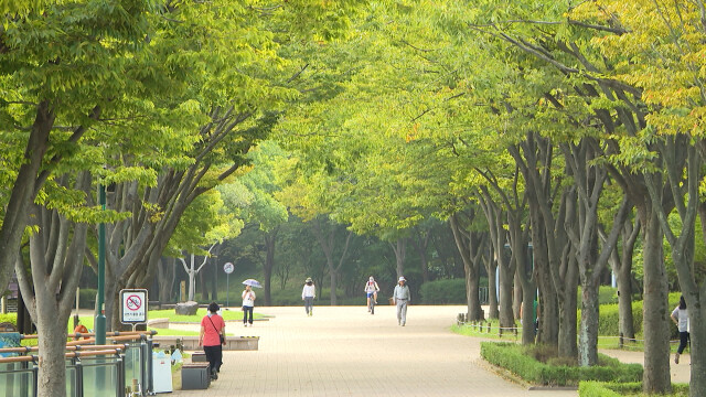 내일 21~25도‥강한 바람 주의