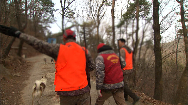 유해 야생동물 포획했지만 울주군 포상금 미지급